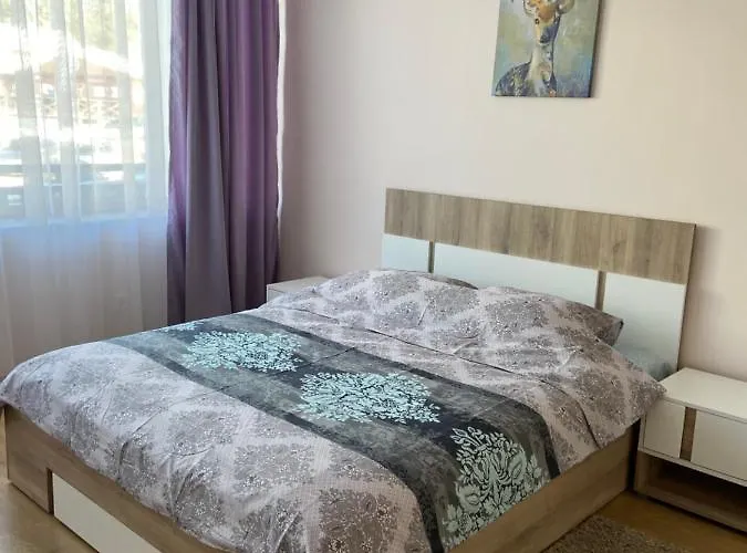 In Studenets, Apartament Pamporowo